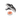 Anneau d’alignement